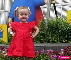 Após luta contra doença rara, menina de 3 anos falece em Curitiba
