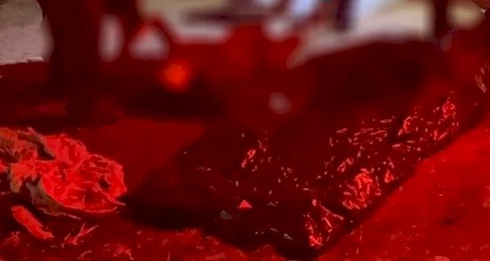 Mulher é morta a tiros e companheiro fica ferido em ataque na zona Leste de Porto Velho