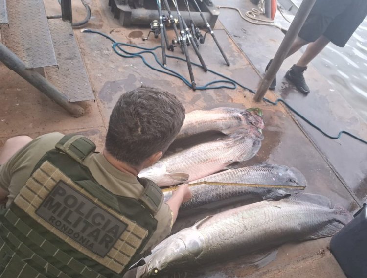 Operação no Rio Madeira apreende mais de 800 kg de pescado irregular e arma de fogo