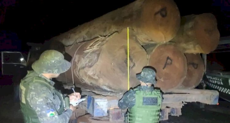 Operação Protetor dos Biomas apreende mais de 160 m³ de madeira e 11 veículos em menos de quatro dias em Rondônia