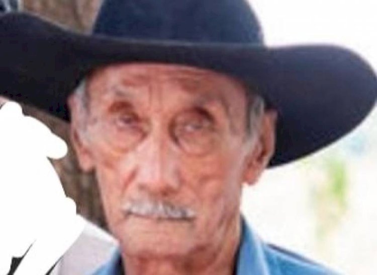 Cerejeiras: pioneiro de 83 anos morre após atropelamento em trecho urbano da BR-435