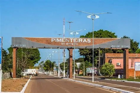 MP APRESENTA RELATORIO CONTRA A PREFEITURA DE PIMENTEIRAS DO OESTE