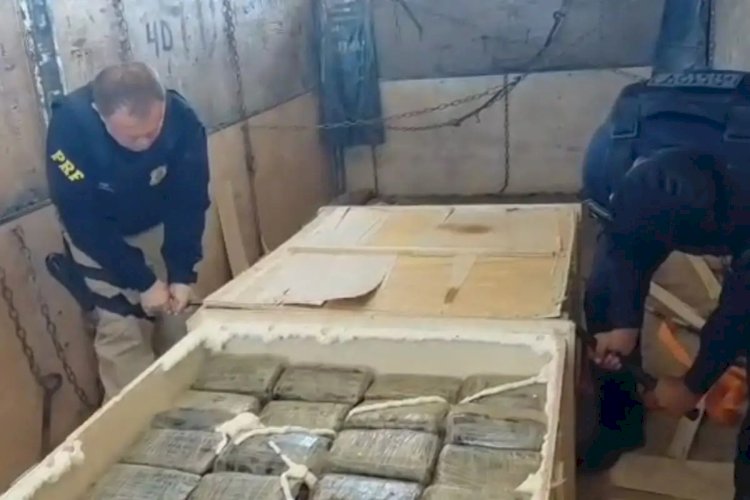 Carga com mais de 1 tonelada de skunk vinda de RO é apreendida na BR-364