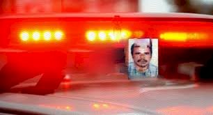 Pescador morre após ataque de abelhas e é encontrado em rio em distrito de Porto Velho