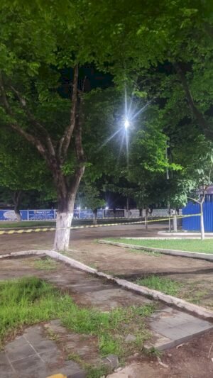 Árvore com risco de queda mobiliza Bombeiros e causa preocupação em praça de Vilhena