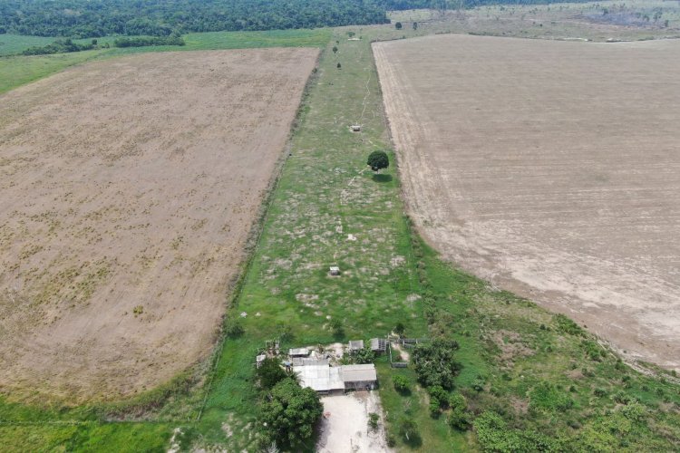 MPF aciona Justiça contra fazendeiros por uso de agrotóxicos e contaminação de indígenas em Rondônia