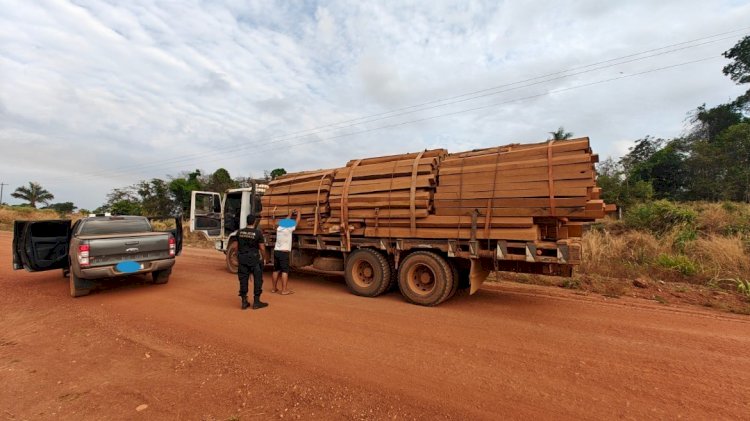 PF mira grupo suspeito de facilitar exploração ilegal em terras indígenas de Rondônia