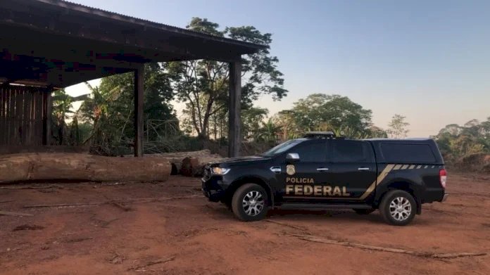 PF cumpre 19 mandados contra suspeitos de comércio ilegal de madeira em RO